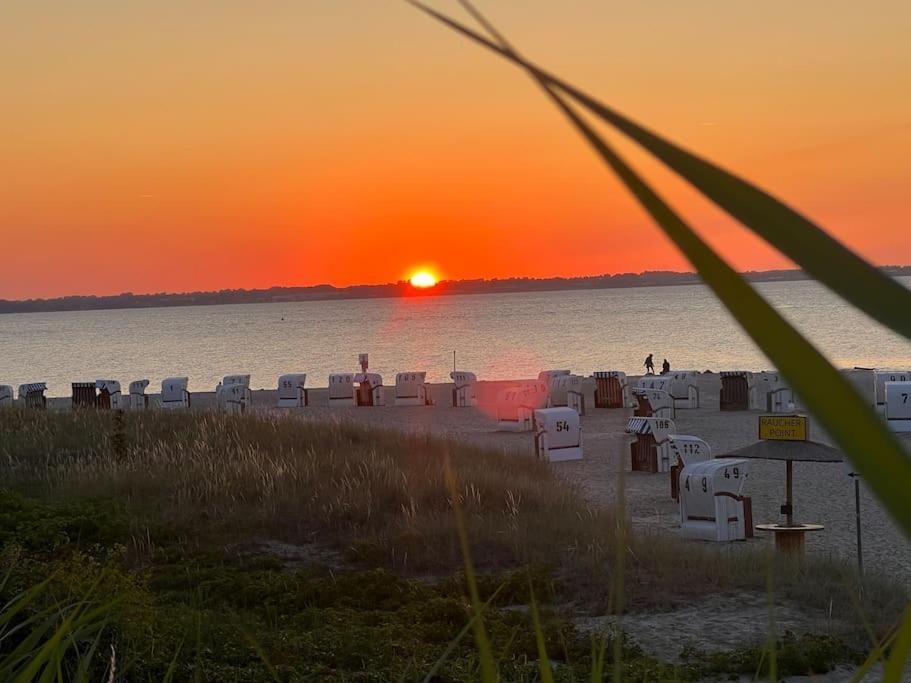 Neue Ferienwohnung Kuestennaehe Mit Terrasse 3Km Zum Strand Osdorf Exterior foto