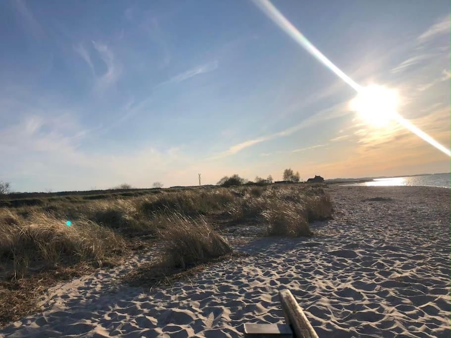 Neue Ferienwohnung Kuestennaehe Mit Terrasse 3Km Zum Strand Osdorf Exterior foto
